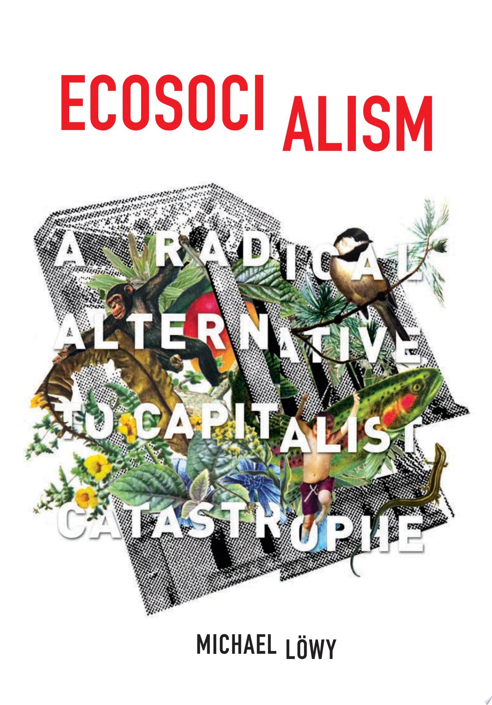 Ecosocialism. A Radical Alternative to Capitalist Catastrophe