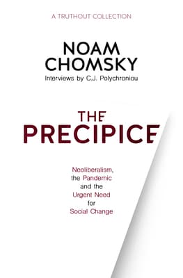 The Precipice. Neoliberalism, the Pandemic and the Urgent Need for Social Change.